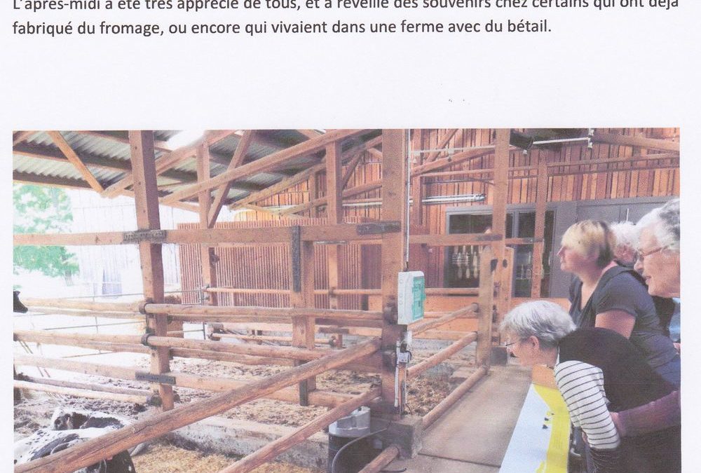 Maison du fromage